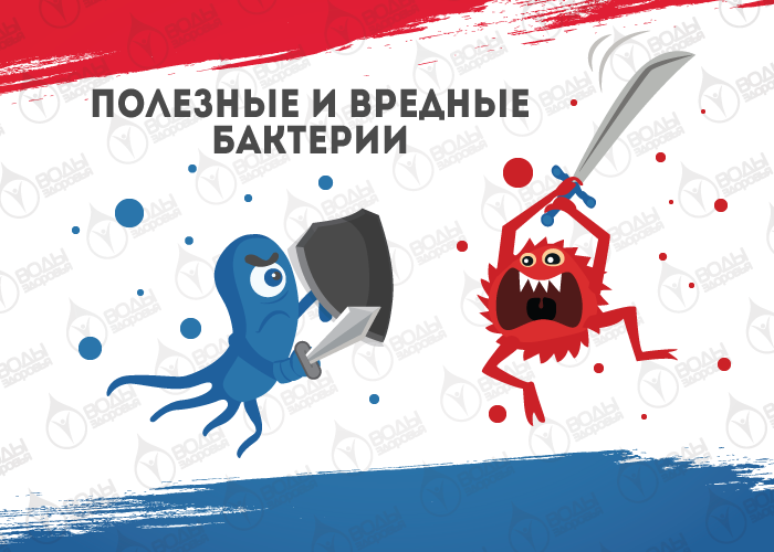 Нужно ли быть слишком чистым Нужно ли быть слишком чистым