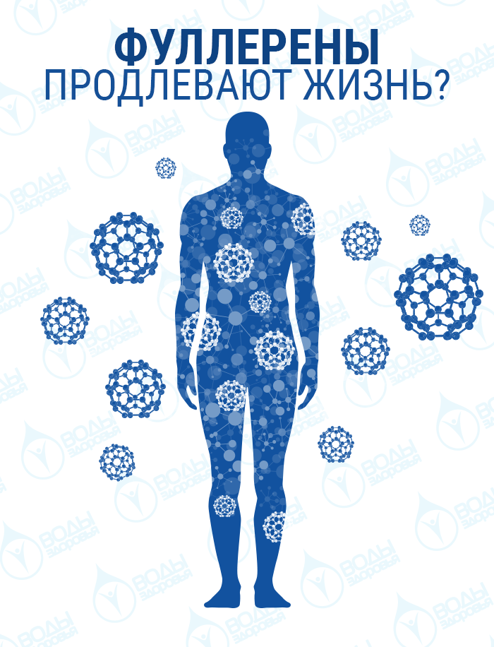 Фуллерены продлевают жизнь?