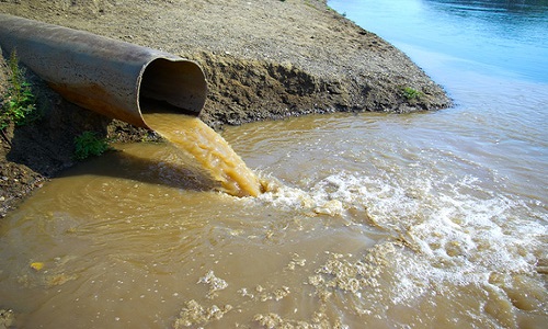 Родниковая и колодезная вода