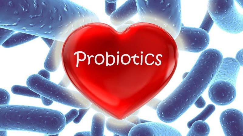 Что такое пробиотики и зачем они нужны?