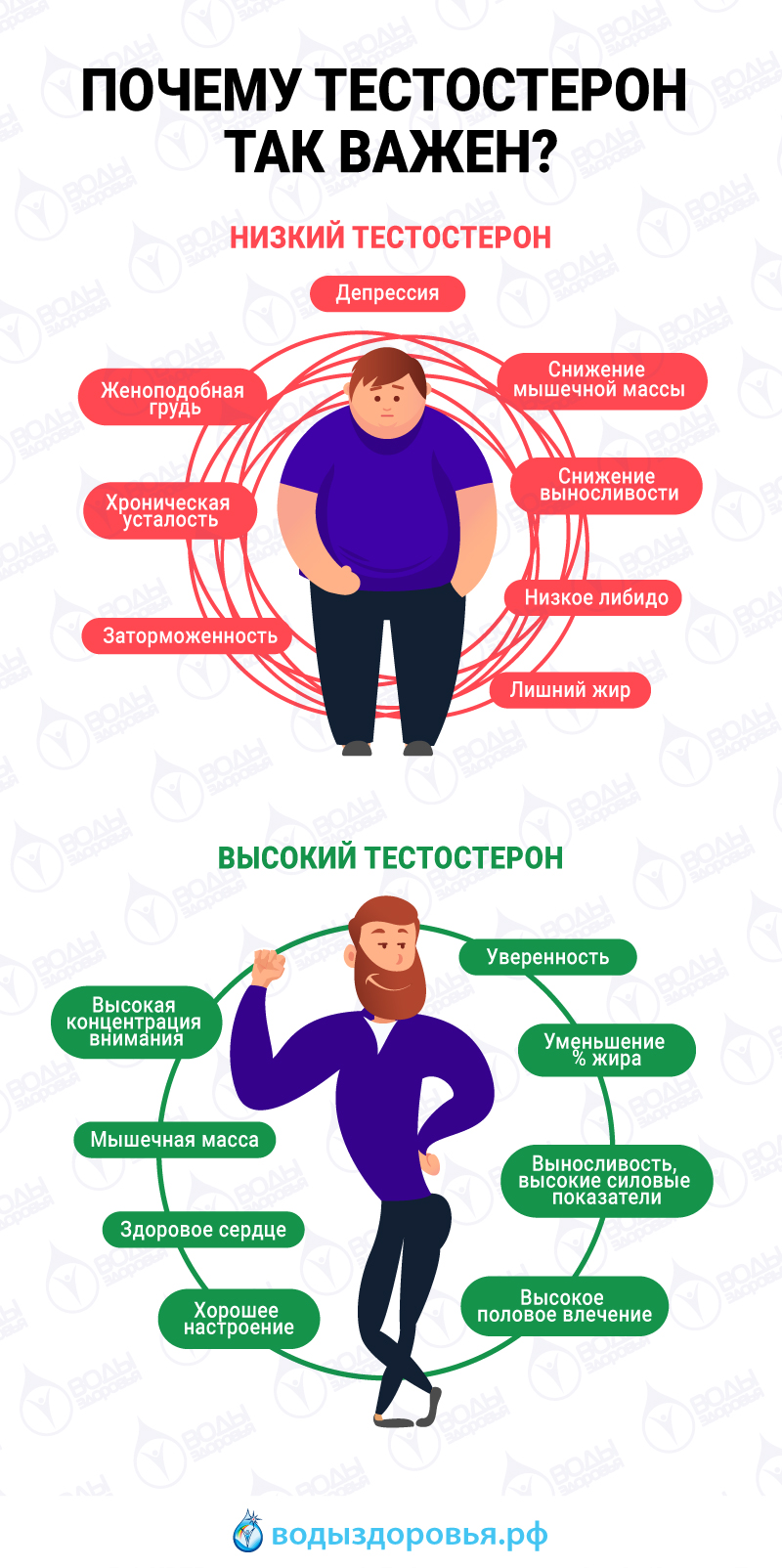 Употребление этих продуктов может снизить тестостерон у мужчин