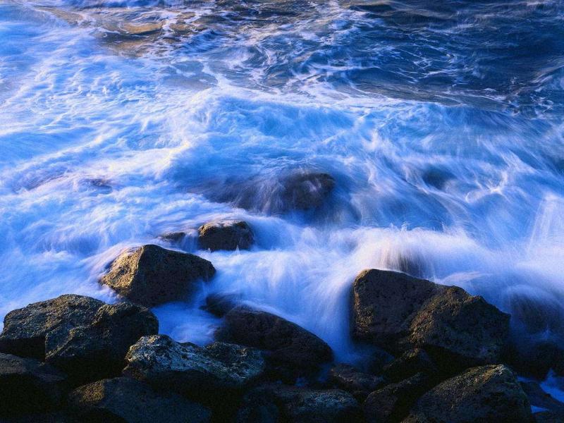 Вода как основа жизни