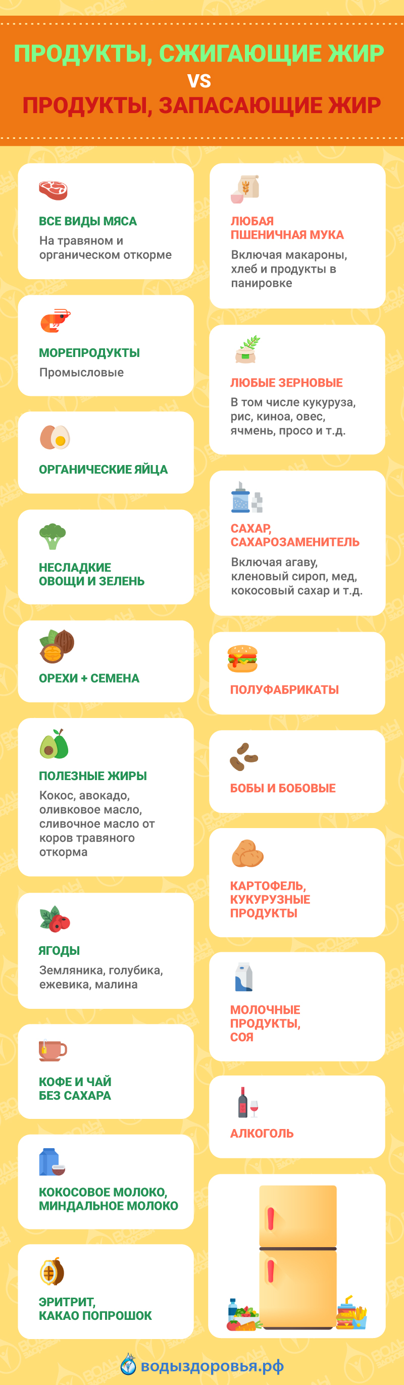 Продукты сжигающие и запасающие жир