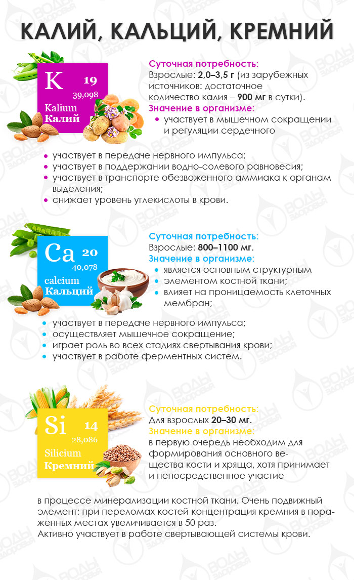 Знакомимся с макро- и микроэлементами: калий, кальций, кремний Знакомимся с макро- и микроэлементами: калий, кальций, кремний