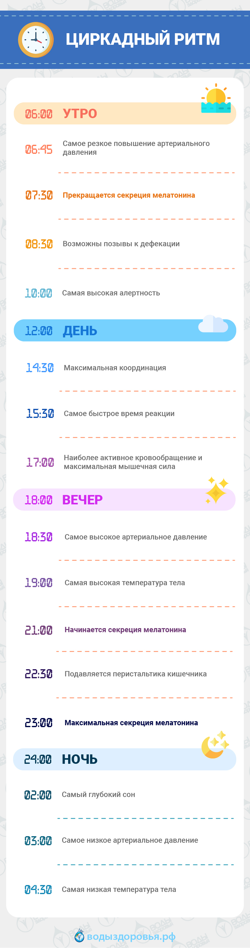 Влияние мелатонина на организм Влияние мелатонина на организм