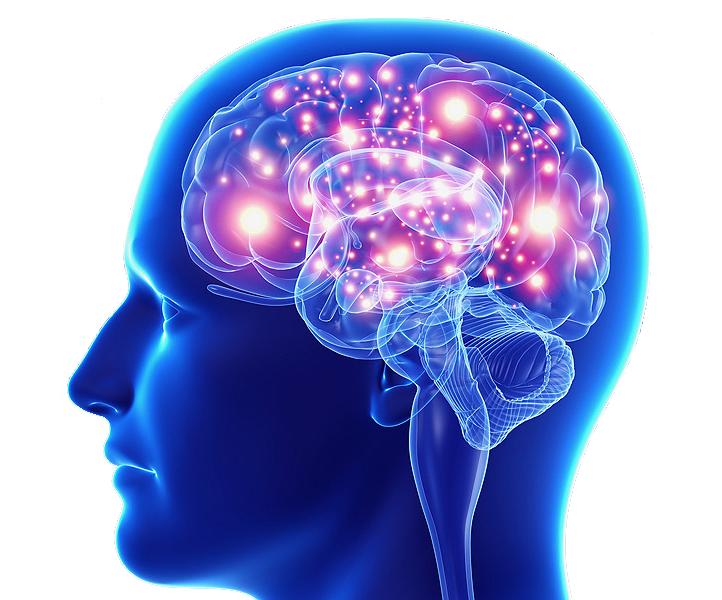 Как повысить активность мозга?