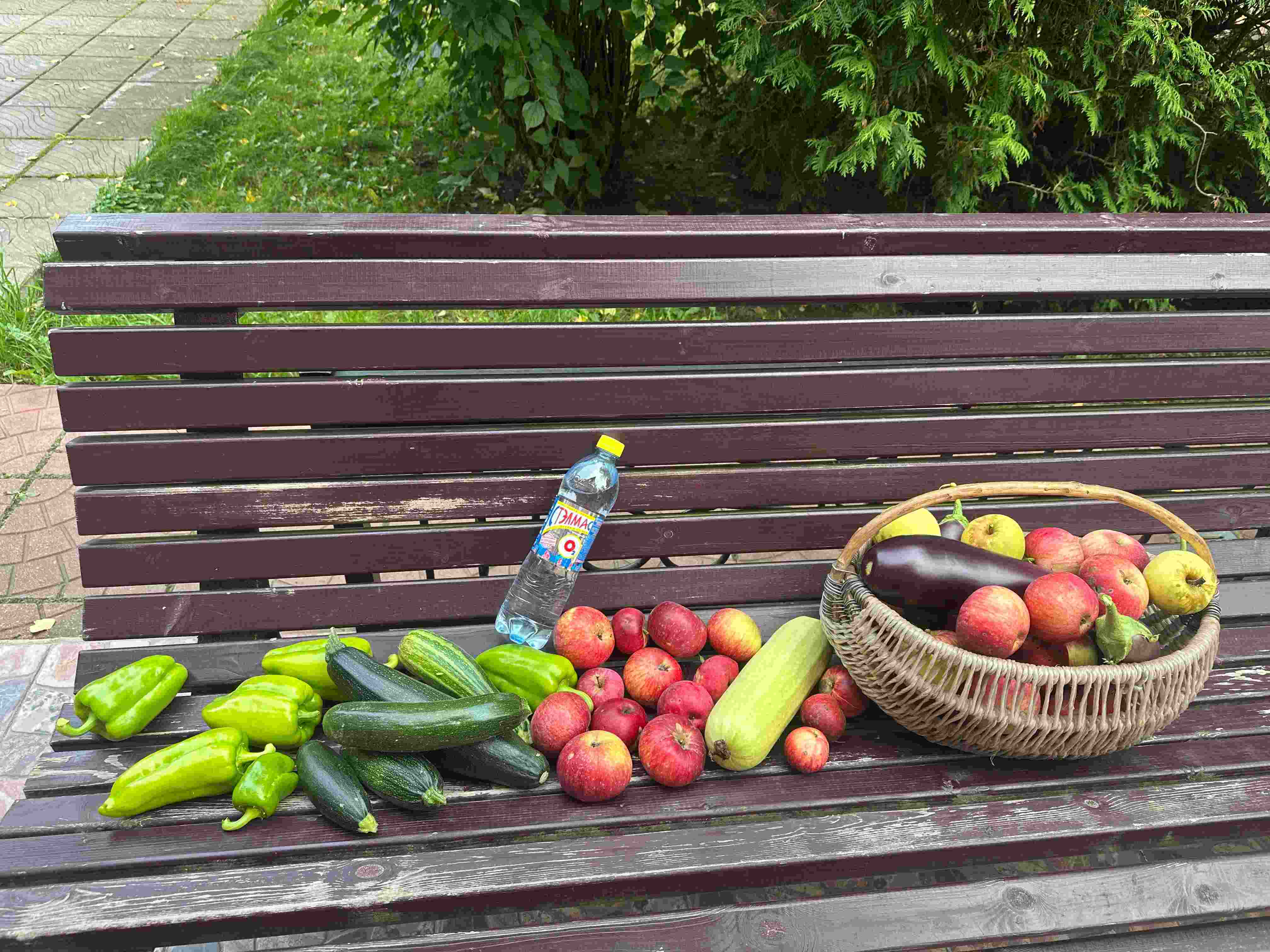 Профилактика инсульта после 50: опыт практикующих специалистов